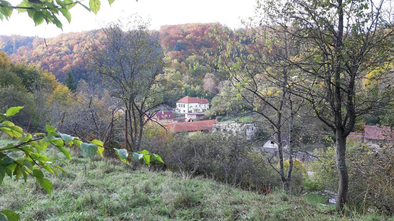 Penzion Pri Studnicke Omastina Exterior photo
